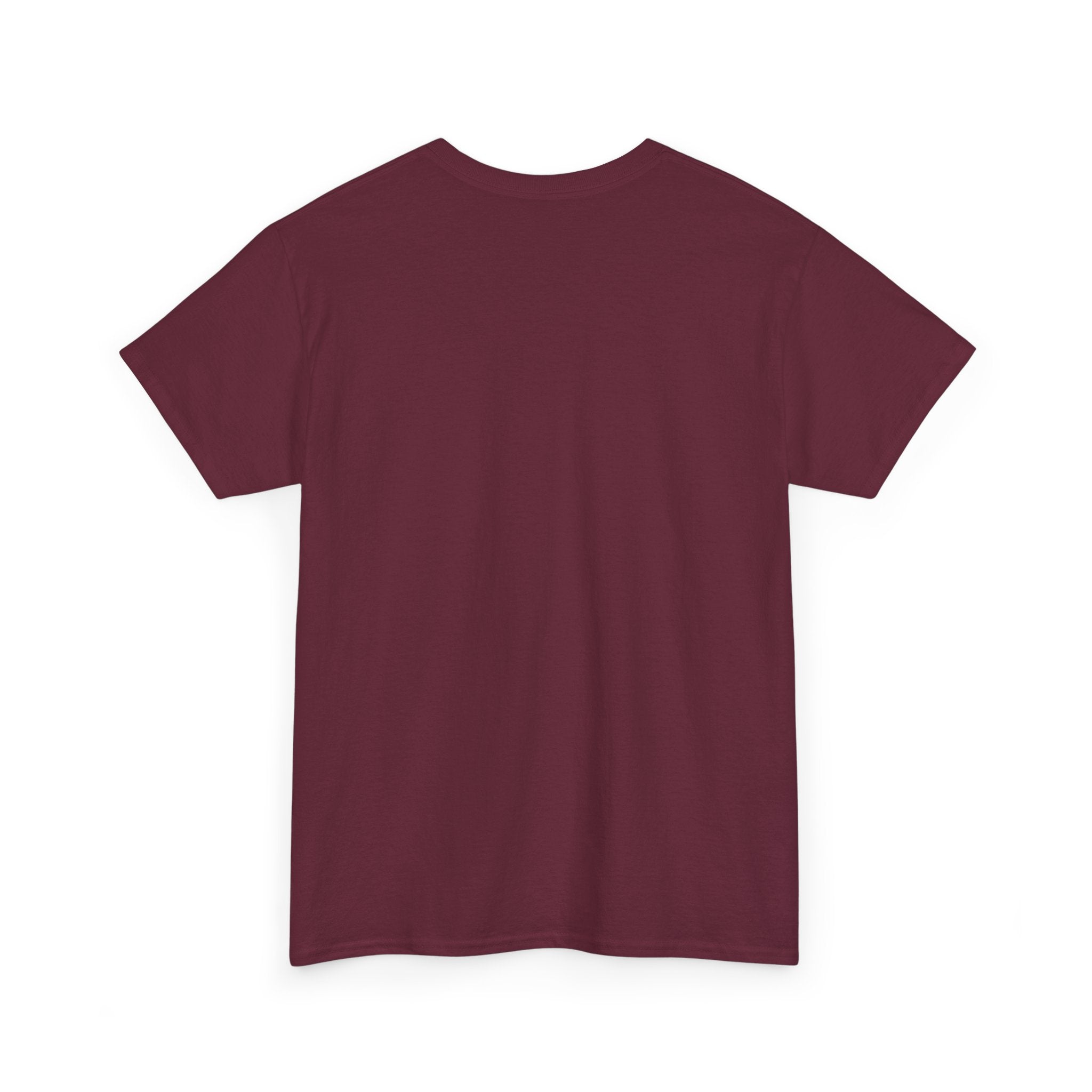 Black "It Was Never a Phase" T-Shirt by Printify displayed on a flat surface with bold white text.