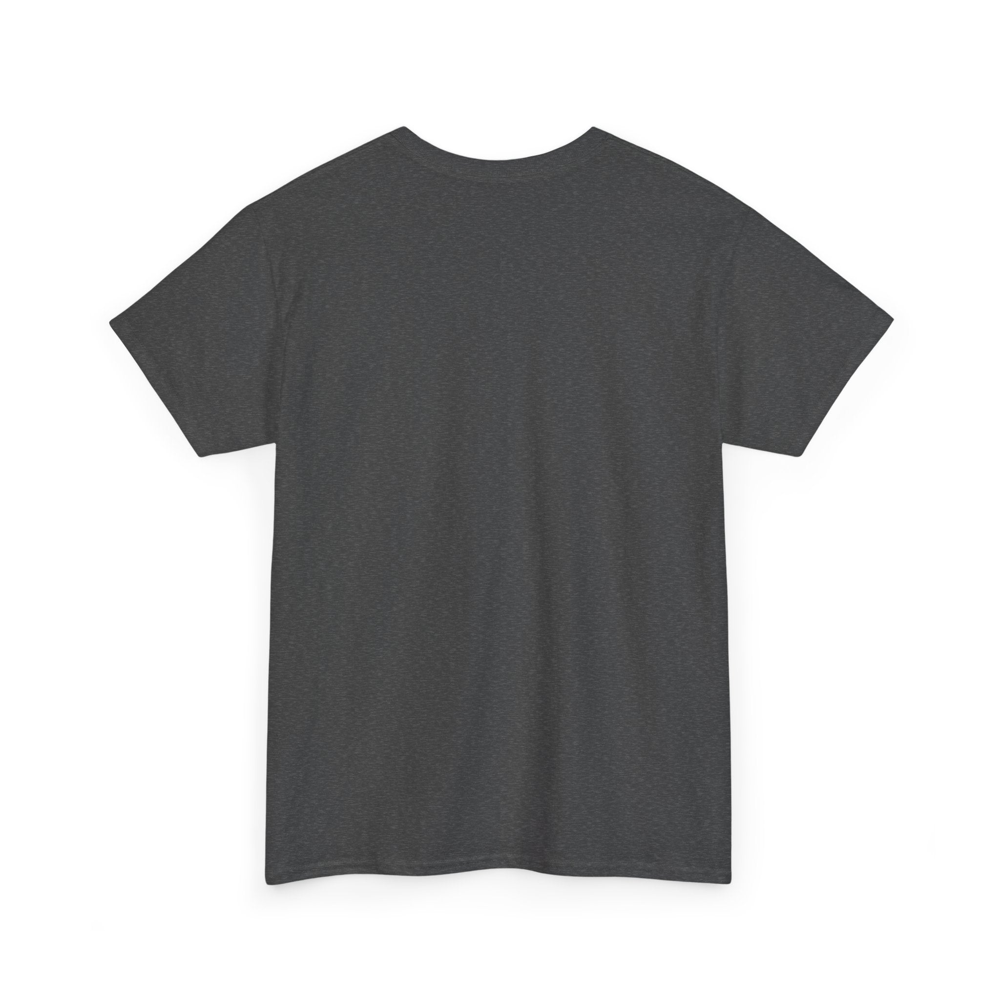 Black "It Was Never a Phase" T-shirt by Printify displayed on a wooden surface.