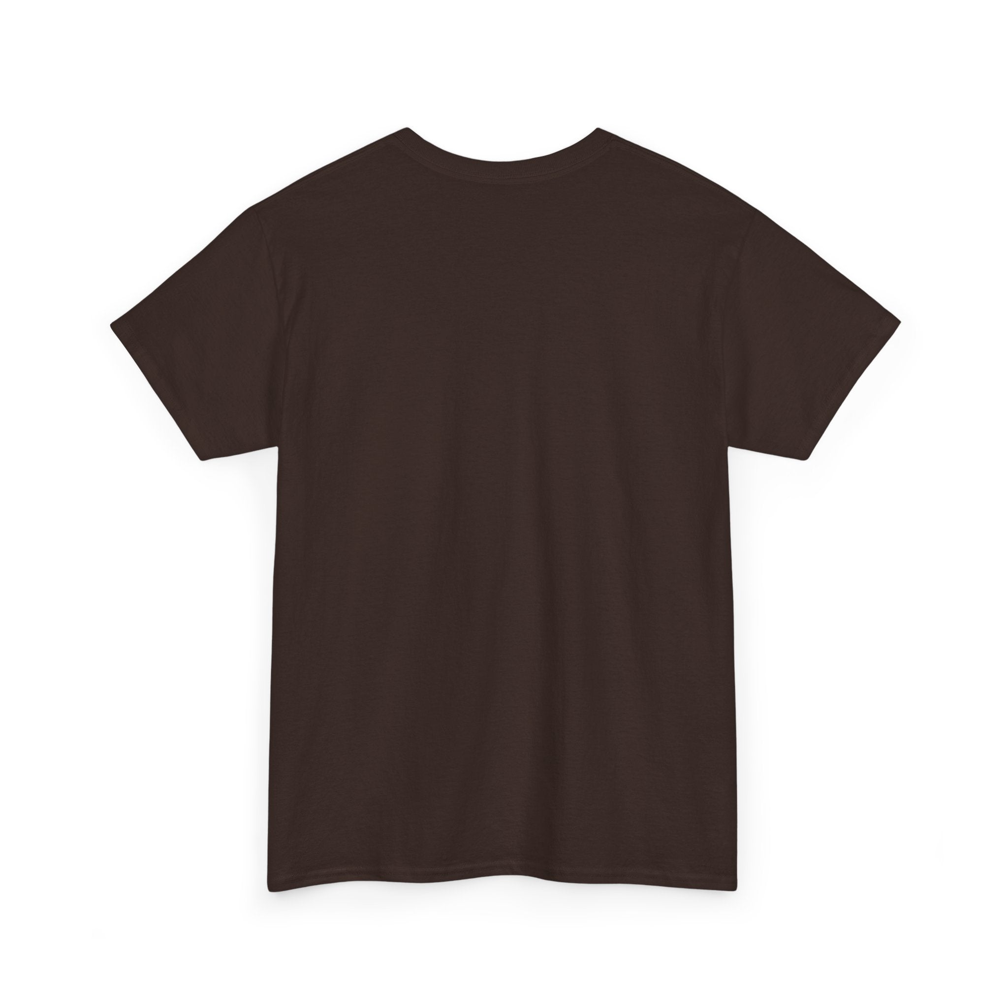 Black "It Was Never a Phase" T-Shirt by Printify with bold white text on a casual fit.