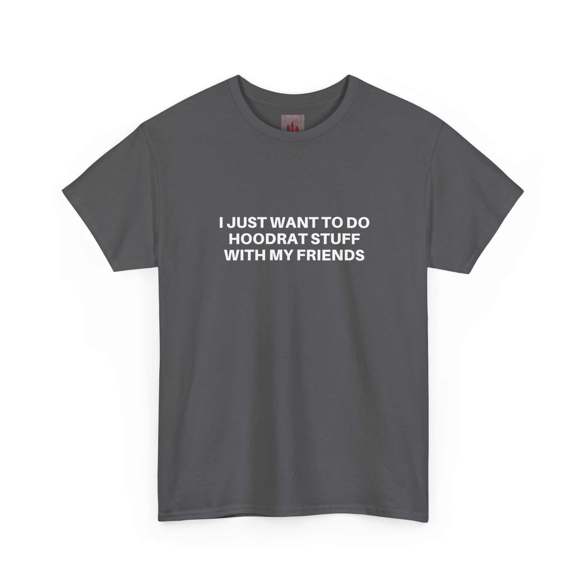 Gray crew-neck t-shirt with white text "I JUST WANT TO DO HOODRAT STUFF WITH MY FRIENDS" printed on front