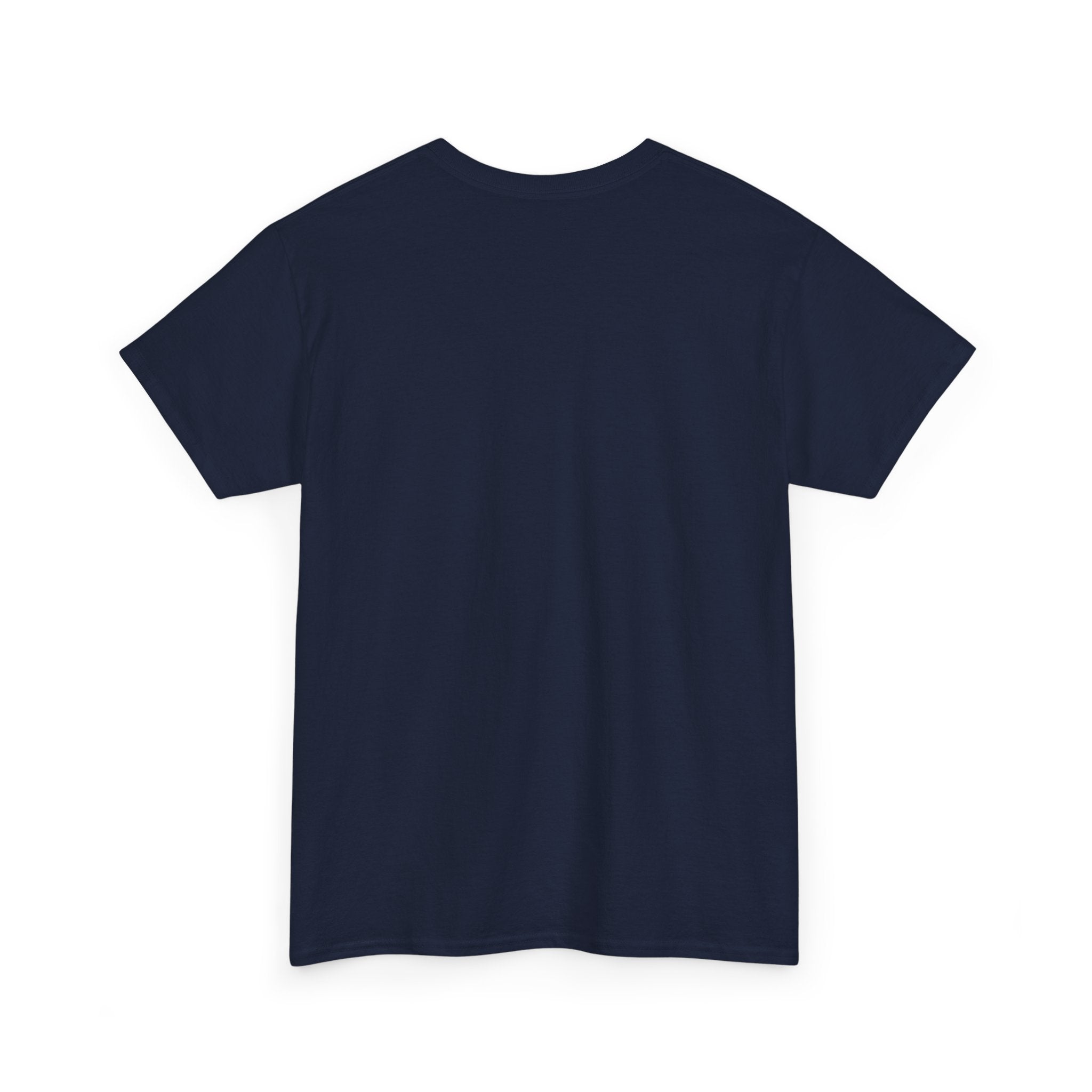 Black "It Was Never a Phase" T-Shirt by Printify displayed on a plain background, featuring bold white text.