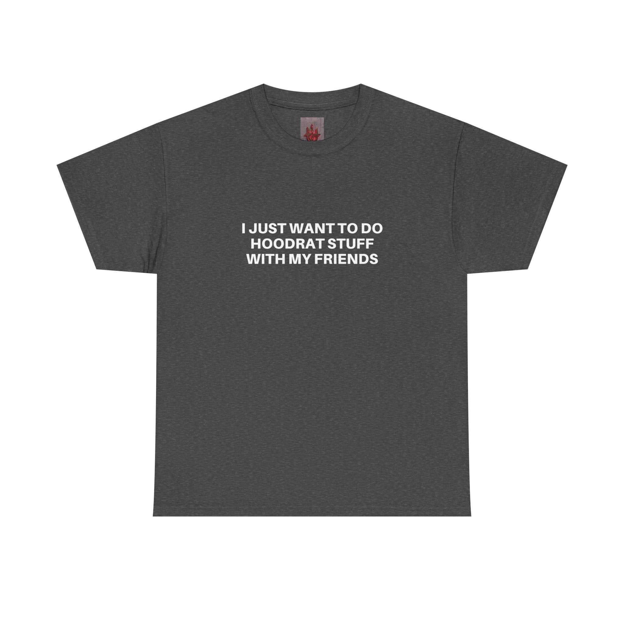 Dark gray crew-neck t-shirt with "I Just Want To Do Hoodrat Stuff With My Friends" white text centered on front, made from medium-weight cotton.